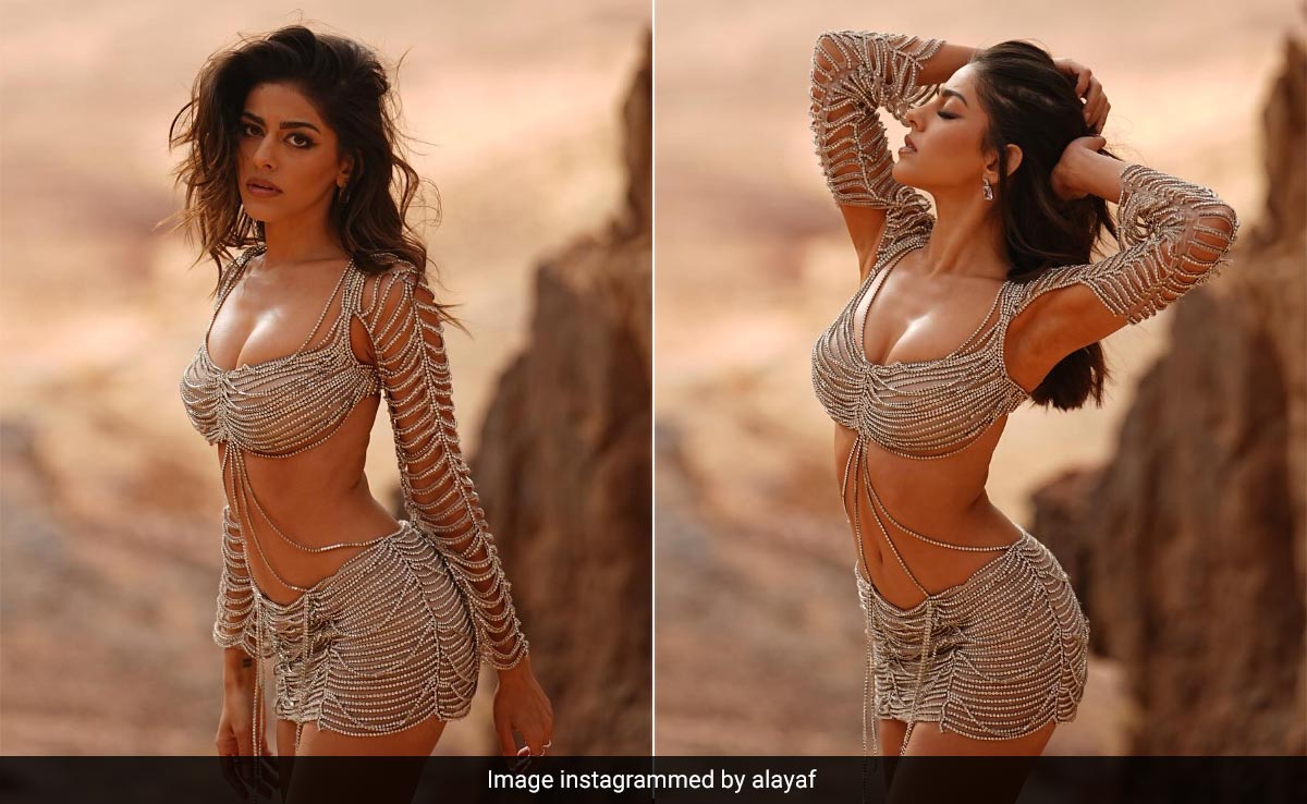 Alaya Furniturewalla Looks Ready To Sizzle In Silver In The <i>Wallah Habibi</i> Music Video