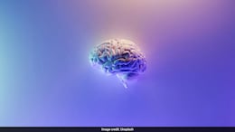 Brain Stimulation Can Help Injured People Walk: Study