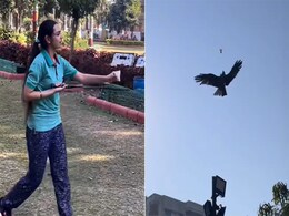 हवाई पार्टनर के साथ बैडमिंटन खेलती लड़की को देख हैरान रह जाएंगे आप, बिना रैकेट के लगाए शॉट पर शॉट हवाई पार्टनर के साथ बैडमिंटन खेलती लड़की को देख हैरान रह जाएंगे आप, बिना रैकेट के लगाए शॉट पर शॉट
