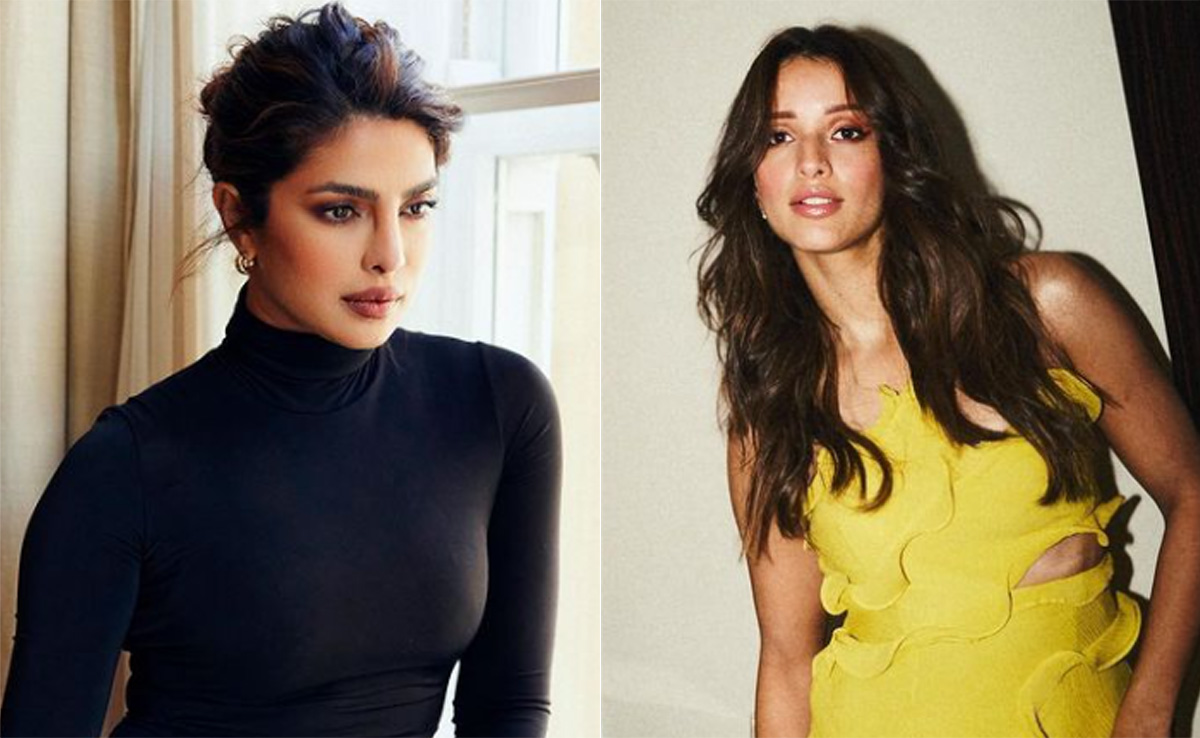 Triptii Dimri Sends Big Love To Priyanka Chopra: "It Takes Guts To Go To Another Country, Start Career Again"