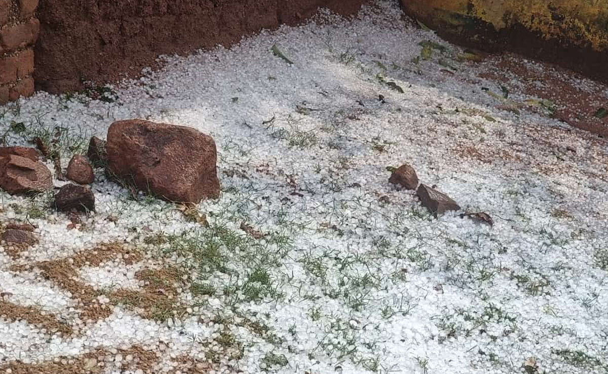Chhattisgarh Weather: मार्च में अजब-गजब मौसम..छत्तीसगढ़ के कई इलाकों में पड़े ओले, फसलों को भारी नुकसान