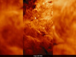 NASA Detects Ingredients Of Margarita Cocktail Around Two Baby Stars NASA Detects Ingredients Of Margarita Cocktail Around Two Baby Stars