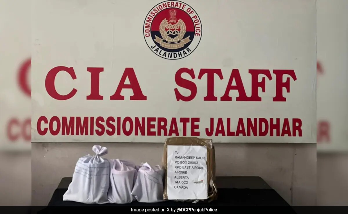 9 Members Of Drug Smuggling Cartel Arrested, 22 Kg Opium Seized: Punjab Police - Vimarsana News