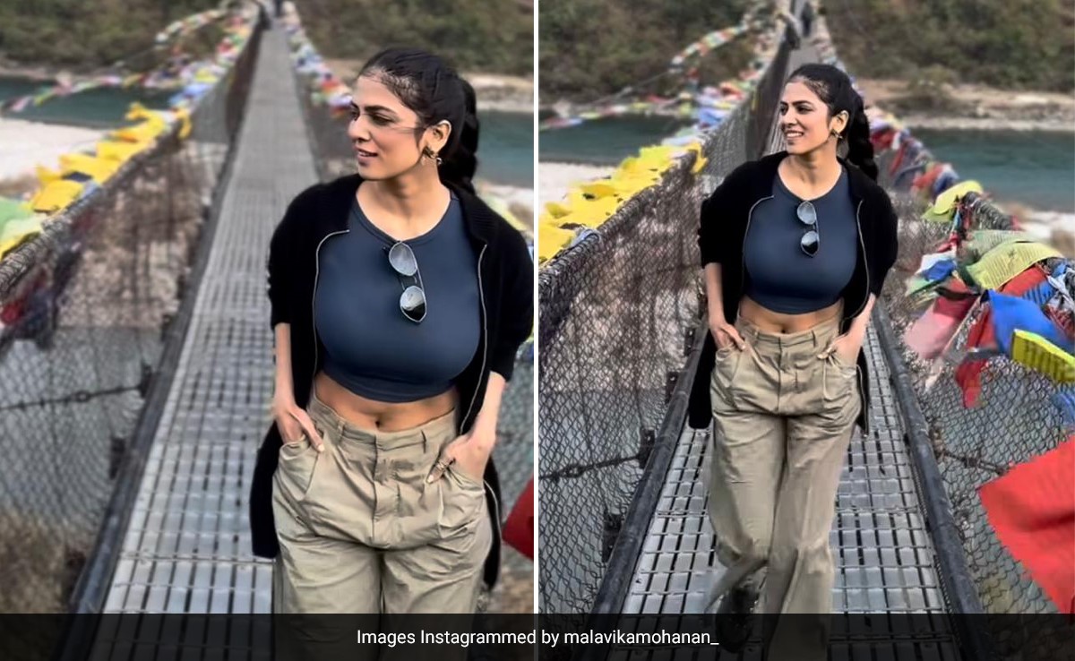 Just Like Malavika Mohanan At The Suspension Bridge In Bhutan, Visit These 5 Iconic Bridges Of The World