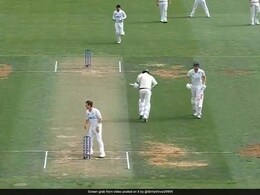 Watch: Commentator In Splits As Cameron Green-Josh Hazlewood's Running Act Stuns New Zealand