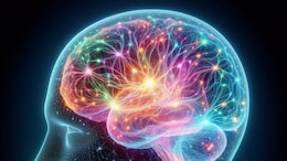 World Brain Tumor Day: Understanding The Importance Of Early Detection In Brain Tumor Prognosis