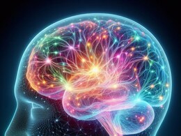 मिडिल एज में सबसे ज्यादा बदलता है ब्रेन, 30 साल के बाद आने लगती है ब्रेन पावर में गिरावट, बढ़ता जाता है डिमेंशिया का खतरा