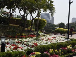 In Pics: Delhi Adorned With Colourful Flowers As Spring Arrives