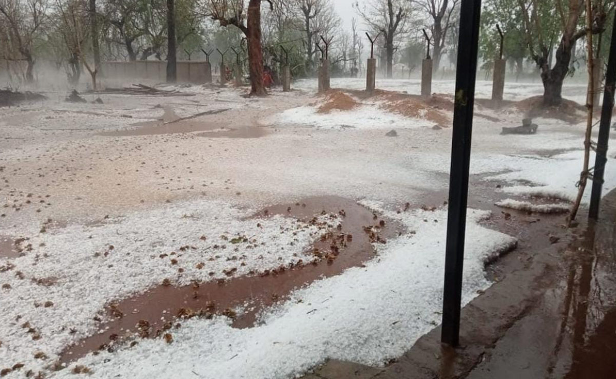 CG Weather: छत्तीसगढ़ में भारी ओलावृष्टि से सूरजपुर-कांकेर समेत कई इलाके प्रभावित, सड़कों में बिछी बर्फ की चादर