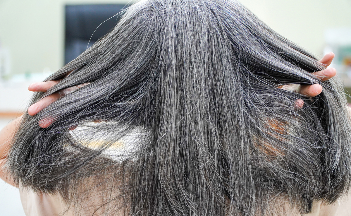 सफेद बालों के लिए कमाल का साबित होता है यह तेल, जड़ से सिरों तक बाल होने लगते हैं काले 