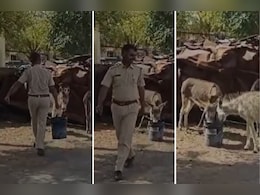 थाने के बाहर गधों को पानी पिलाते नजर आए पुलिस के जवान, वायरल वीडियो देख लोग पुलिस को दे रहे शाबाशी थाने के बाहर गधों को पानी पिलाते नजर आए पुलिस के जवान, वायरल वीडियो देख लोग पुलिस को दे रहे शाबाशी