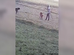 Dalit Woman, 60, Brutally Beaten In UP After Her Goat Enters A Field Dalit Woman, 60, Brutally Beaten In UP After Her Goat Enters A Field
