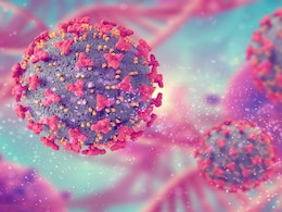 भारत के लोगों में क्यों होता है सिर और गर्दन का कैंसर सबसे ज्यादा? 2040 तक 2.1 मिलियन नए मामलों का अनुमान भारत के लोगों में क्यों होता है सिर और गर्दन का कैंसर सबसे ज्यादा? 2040 तक 2.1 मिलियन नए मामलों का अनुमान