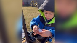 &ldquo;So Absolutely Outstanding&rdquo;: Miniature Cooking By 5-Year-Old Impresses The Internet