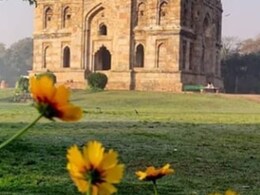 अब 'आइडेंटिटी क्राइसिस' से क्यों जूझने लगा है ऋतुराज वसंत? अब 'आइडेंटिटी क्राइसिस' से क्यों जूझने लगा है ऋतुराज वसंत?