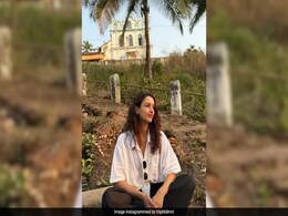Triptii Dimri Is Holidaying In Goa And She Is Not Alone Triptii Dimri Is Holidaying In Goa And She Is Not Alone