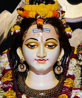 Shivratri Puja: Latest News, Photos, Videos on Shivratri Puja - NDTV.in
