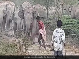 हाथी को डंडे से मारकर परेशान कर रहा था शख्स, गुस्साए गजराज ने खदेड़ा और फिर जो किया, डर जाएंगे आप हाथी को डंडे से मारकर परेशान कर रहा था शख्स, गुस्साए गजराज ने खदेड़ा और फिर जो किया, डर जाएंगे आप