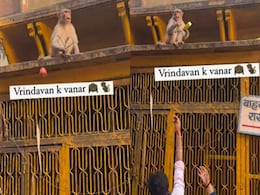 बंदर की होशियारी के आगे धरी की धरी रह गई शख्स की चालाकी, डील पूरी करने के बाद ही वापस ले पाया सामान बंदर की होशियारी के आगे धरी की धरी रह गई शख्स की चालाकी, डील पूरी करने के बाद ही वापस ले पाया सामान