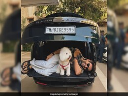 Kartik Aaryan's LOL Post About His Swanky New Car: "<i>Humaari</i> Range..." Kartik Aaryan's LOL Post About His Swanky New Car: "<i>Humaari</i> Range..."