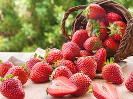 Chocolate Strawberry Clusters: Celebrity Trainers Recipe Is Deliciously Nutritional Chocolate Strawberry Clusters: Celebrity Trainers Recipe Is Deliciously Nutritional