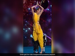 कुत्ते ने महिला के साथ एआर रहमान के गाने 'जय हो' पर किया शानदार डांस, लोगों ने बताया अद्भुत परफॉर्मेंस कुत्ते ने महिला के साथ एआर रहमान के गाने 'जय हो' पर किया शानदार डांस, लोगों ने बताया अद्भुत परफॉर्मेंस