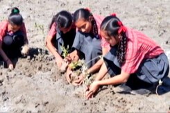 Students At This Adani School Pledge To Plant 25,000 Saplings Students At This Adani School Pledge To Plant 25,000 Saplings