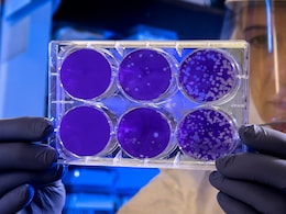 Govt Amends Drugs Rules To Bring Stem Cell, Gene Therapies Under Central Licensing