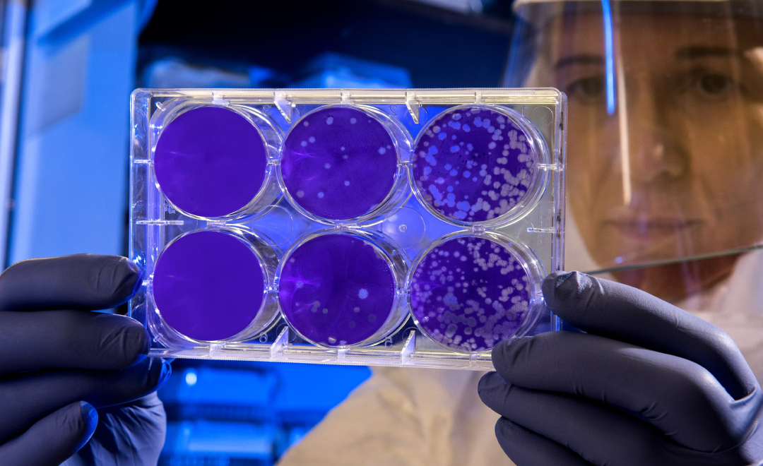 Govt Amends Drugs Rules To Bring Stem Cell, Gene Therapies Under Central Licensing