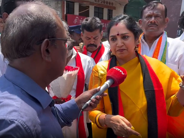 "PM Did Not Release A Penny For Tamilians": DMK's South Chennai Candidate T Thangapandian