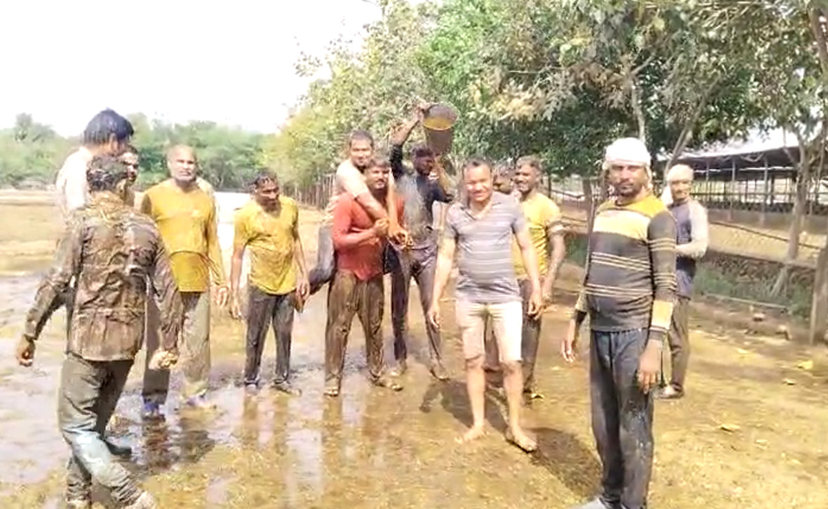 Gwalior की इस होली से भगवान कृष्ण का क्या है कनेक्शन? जानें यहां के लोग क्यों खेलते हैं गोबर से Holi