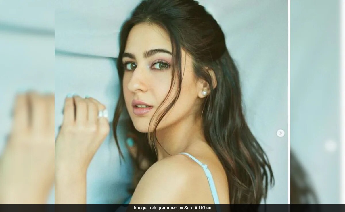 Asked About "Surname" And "Family Tree", Sara Ali Khan Says, "I Was Born To A Secular Family"