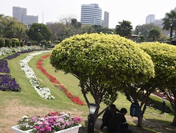 675 Parks, 4 Ridge Zones, 6.62 Lakh Plants: Delhi's Monsoon Plantation Push