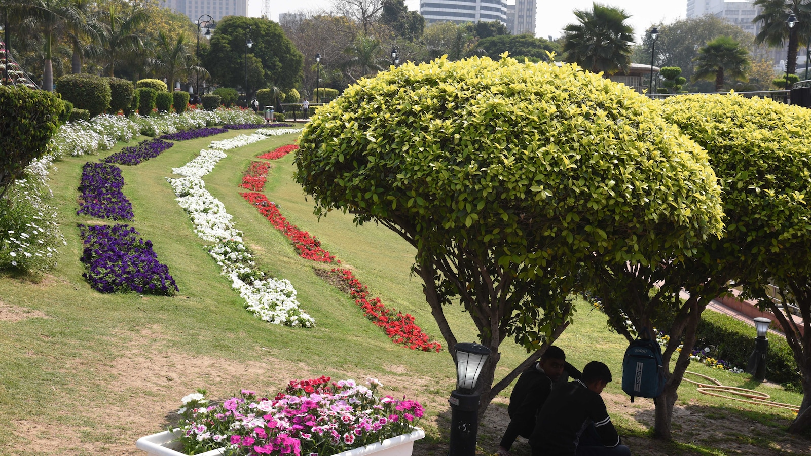 675 Parks, 4 Ridge Zones, 6.62 Lakh Plants: Delhi’s Monsoon Plantation Push