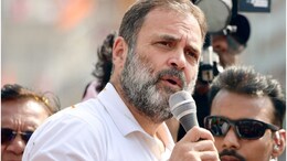 Lok Sabha Elections 2024: केंद्र में कांग्रेस आई तो 30 लाख सरकारी नौकरी, MSP पर गारंटी, राहुल गांधी ने जनसभा से किया ऐलान