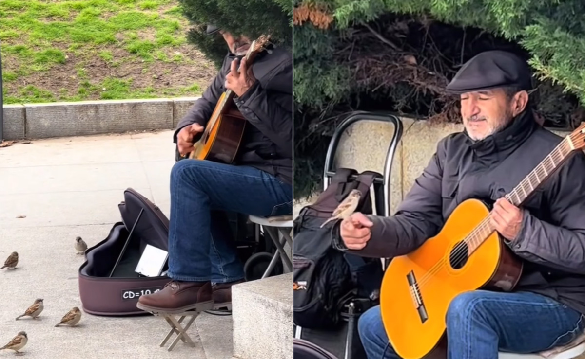 इंसान ही नहीं पक्षी भी होते हैं म्यूजिक के दीवाने, यकीन न हो तो देख लीजिए ये दिल को सुकून देने वाला VIDEO