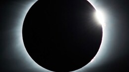 Total Solar Eclipse 2024: Date, Time And Debunking 3 Common Food Myths About Surya Grahan