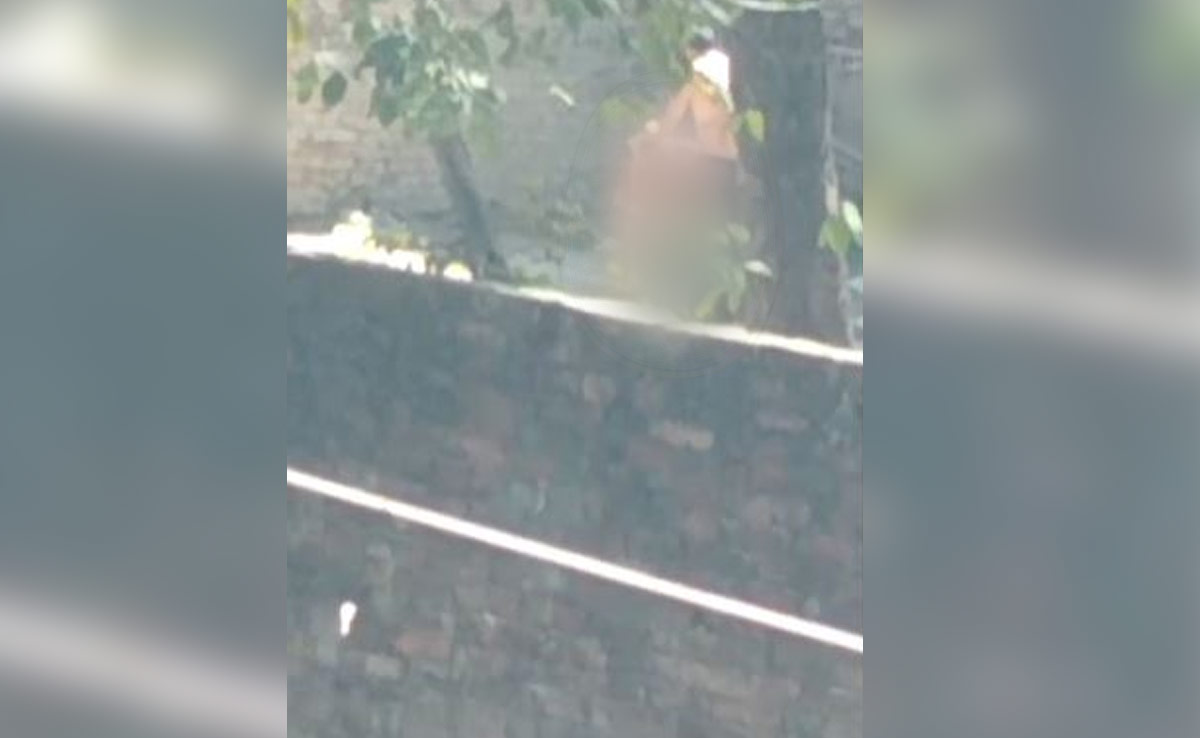 Man Slaps 80-Year-Old Mother, Hits Her With Slipper In UP