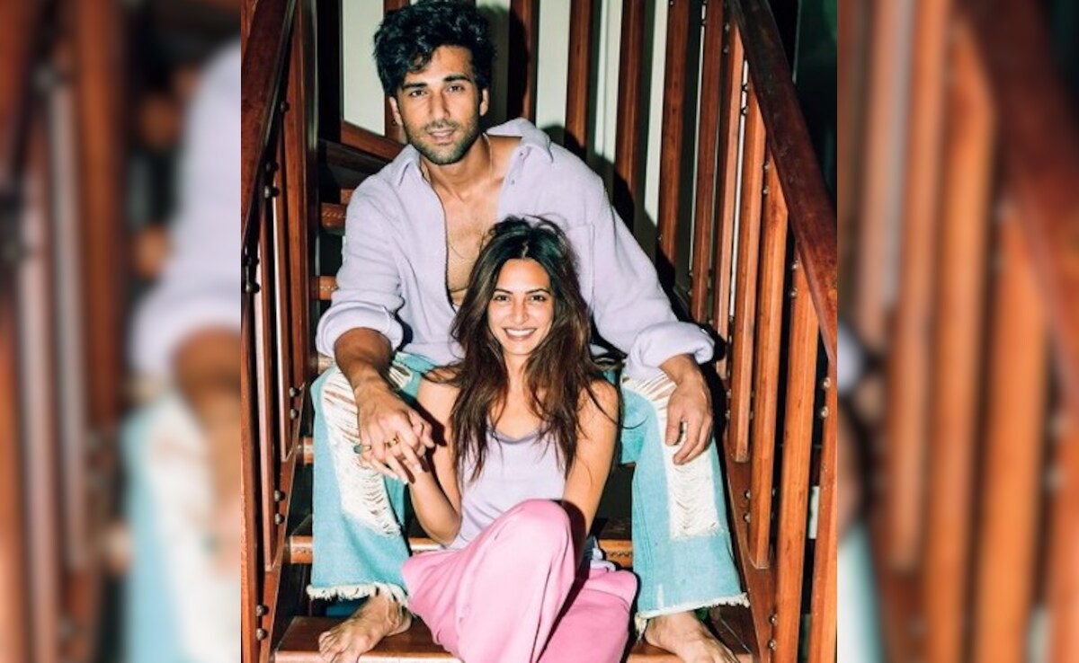 Kriti Kharbanda-Pulkit Samrat's Wedding Manesar Guests Include Farhan Akhtar-Shibani Dandekar: Report