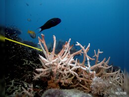 Ocean Temperatures Hit Record High In February, Say EU Scientists Ocean Temperatures Hit Record High In February, Say EU Scientists
