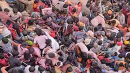 Devotees Injured During Stampede At Mathura Temple's Pre-Holi Event