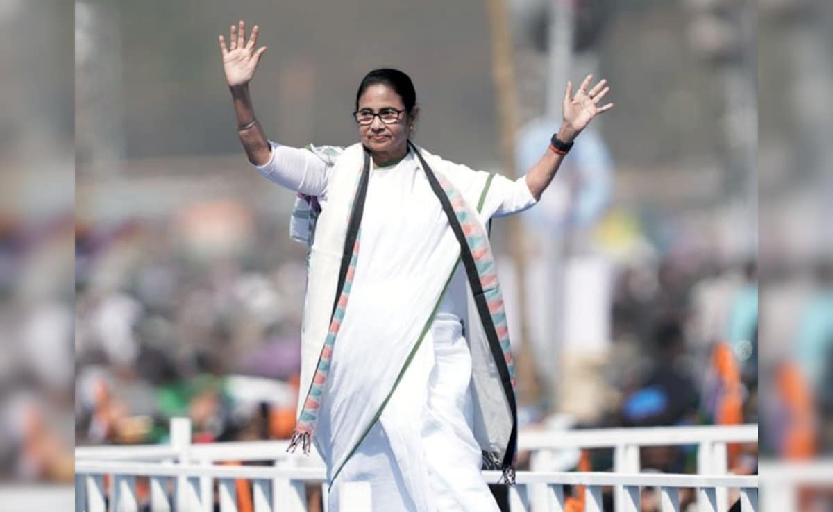 The Art of Baking: From Classic Bread to Artisan Pastries