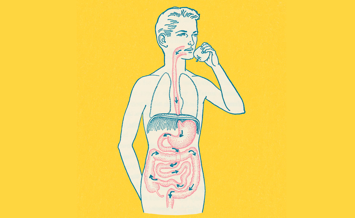 खाया, पीया, पचाया... या सड़ाया? जानिए कैसे पचता है खाना, किस तरह काम करता है इंसानों का डाइजेस्टिव सिस्टम