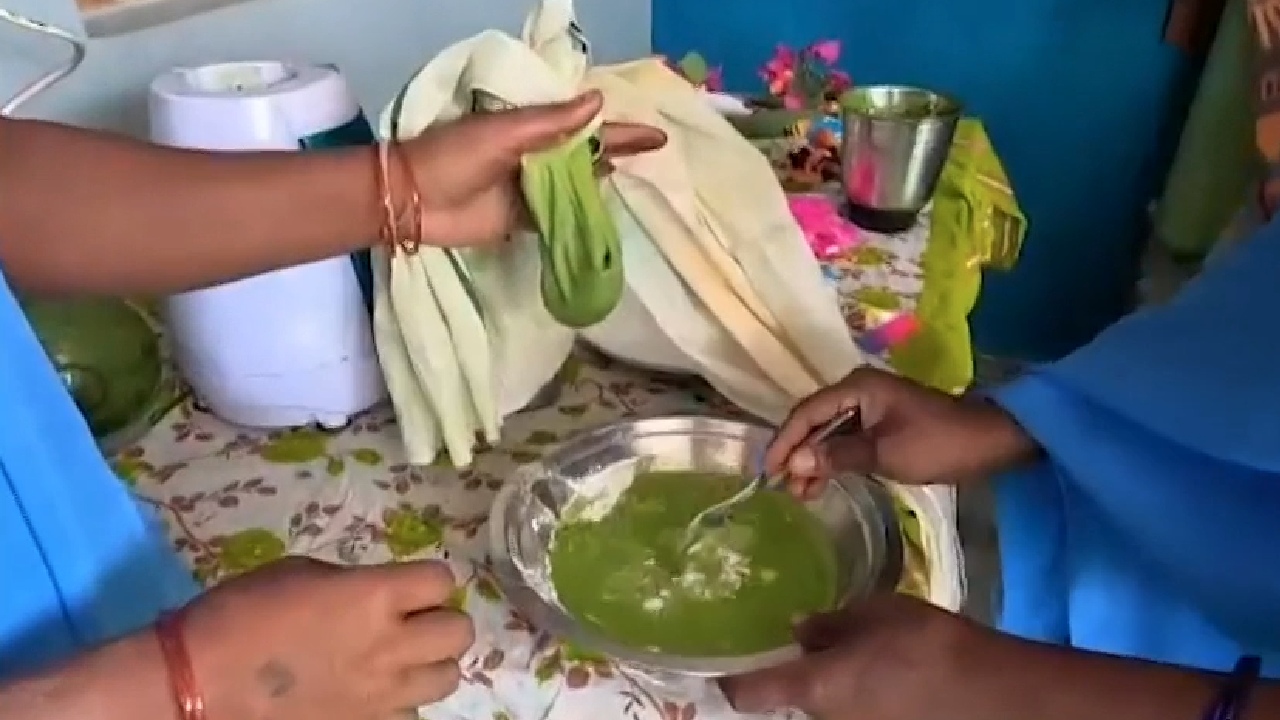 छिंदवाड़ा में महिलाएं होली के लिए कैसे बना रही हैं हर्बल गुलाल