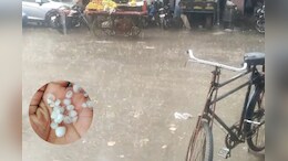 Rajasthan Weather: राजस्थान में आकाशीय बिजली गिरने से पति-पत्नी सहित 5 लोगों की मौत, कई जिलों में बारिश से भारी परेशानी