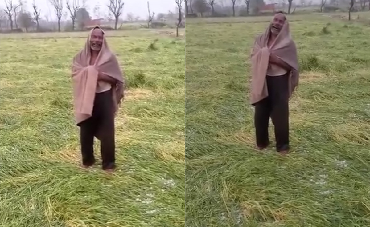 MP News: बारिश और ओलावृष्टि ने मचाई तबाही, बर्बाद हुई फसलों को देख रोने लगा किसान