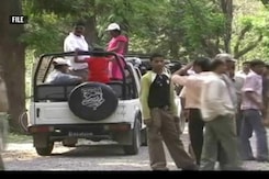 "Committee To Investigate Damage": Conservationist After Tiger Safaris Banned In Jim Corbett Reserve's Core Areas "Committee To Investigate Damage": Conservationist After Tiger Safaris Banned In Jim Corbett Reserve's Core Areas
