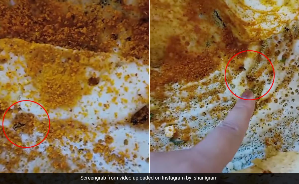 Video: Woman Finds 8 Cockroaches In Dosa Served At Delhi Cafe