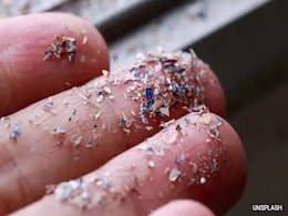 "Monumental Step": Scientists Create Biodegradable Microplastics "Monumental Step": Scientists Create Biodegradable Microplastics