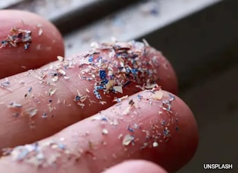 Can Magnetic Nanoparticles Remove Microplastics From Blood? Class 12 Student From Rajasthan Develops Prototype